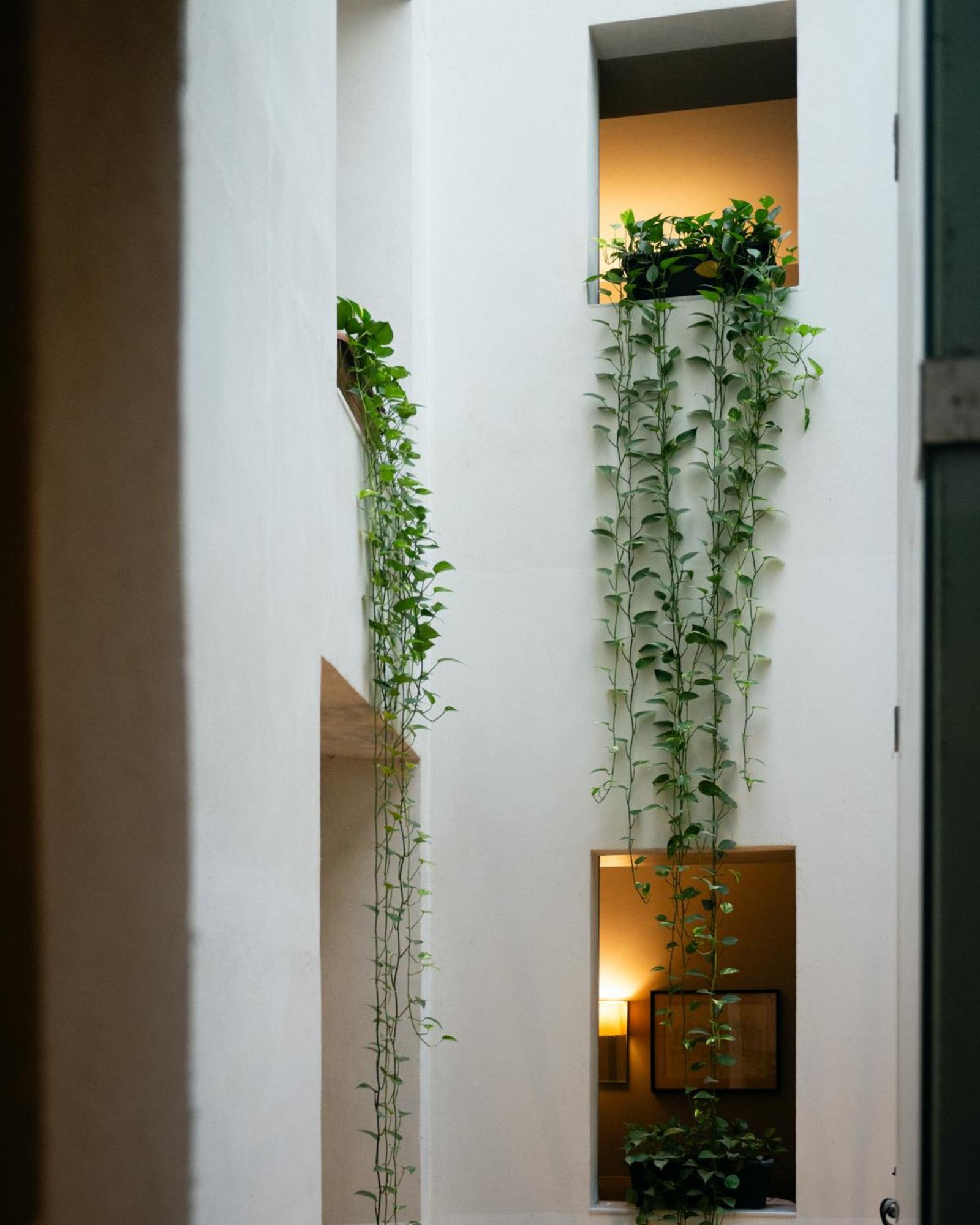 Hotel Ramblas Internacional Barcelona Exterior photo